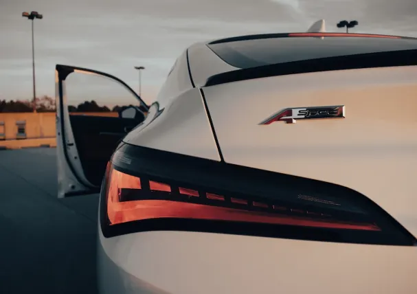 Pino Casino Aip Android/iOS